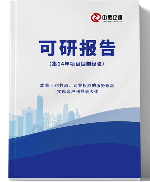 储能电池项目投资建议书（境外投资可研）中金企信编制